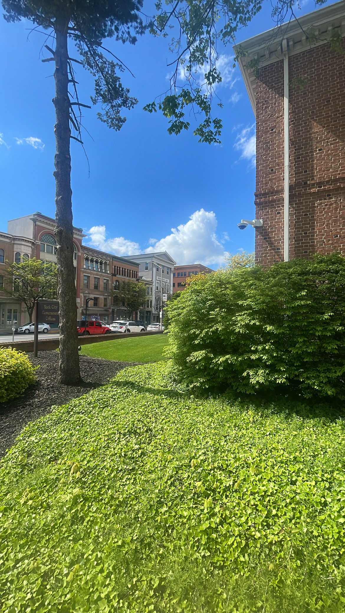  Picture of the city in the Spring envoking nostalgia and innocence